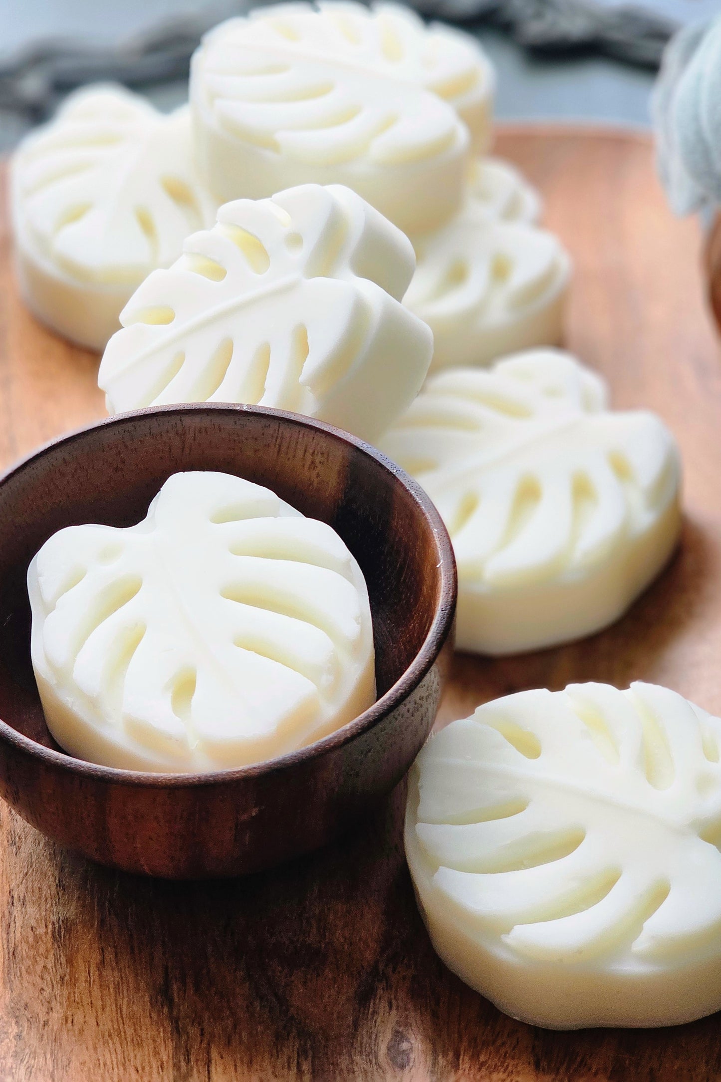 Aloe & Coconut Soap (unscented)