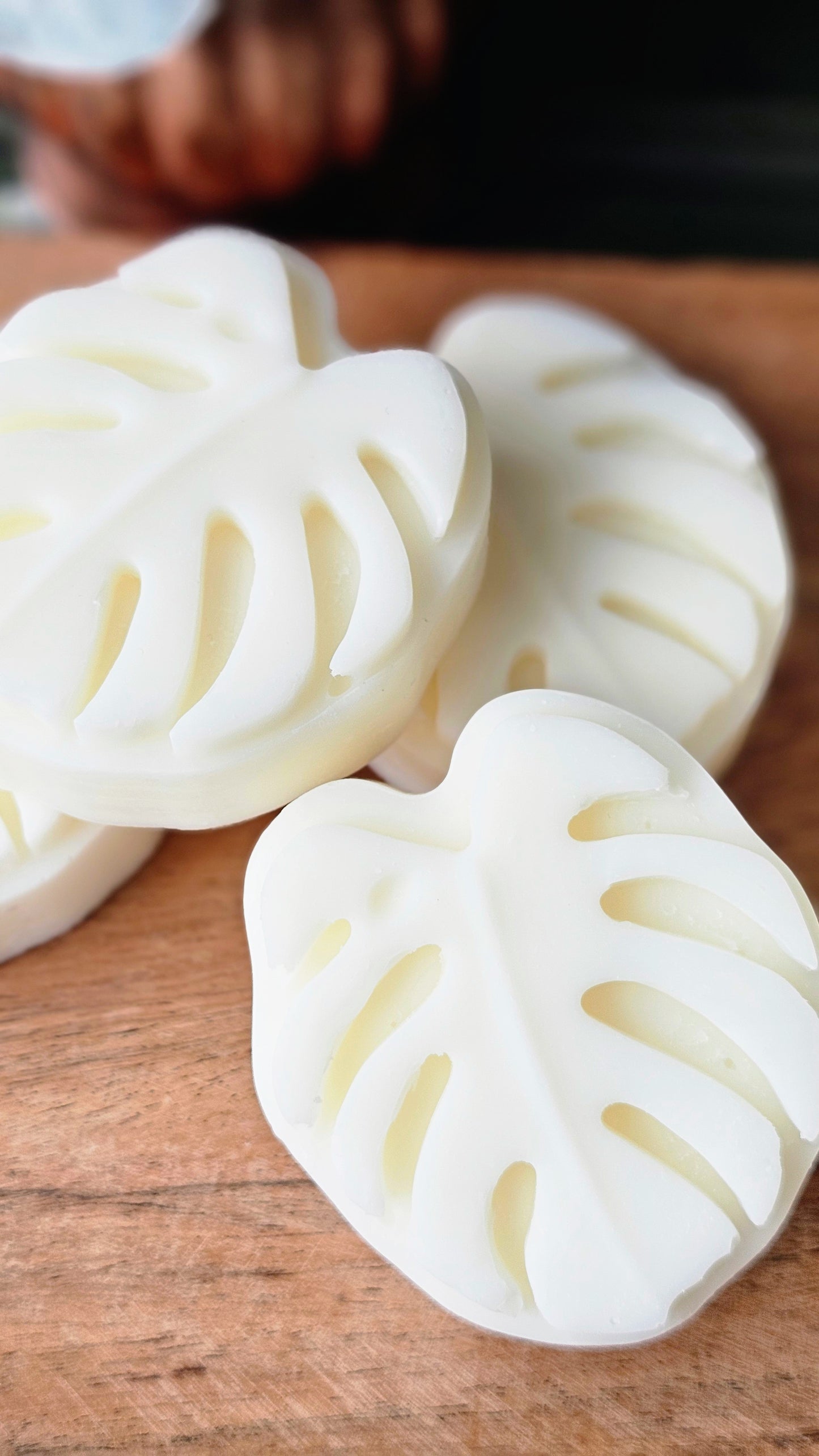 Aloe & Coconut Soap (unscented)
