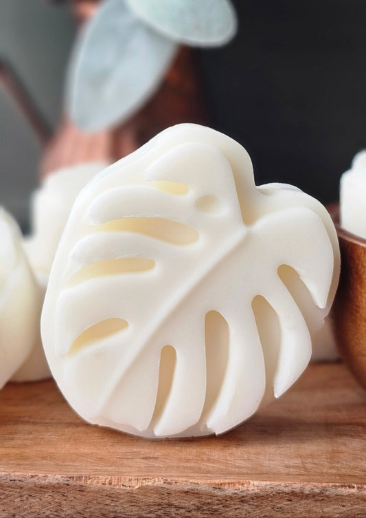 Aloe & Coconut Soap (unscented)