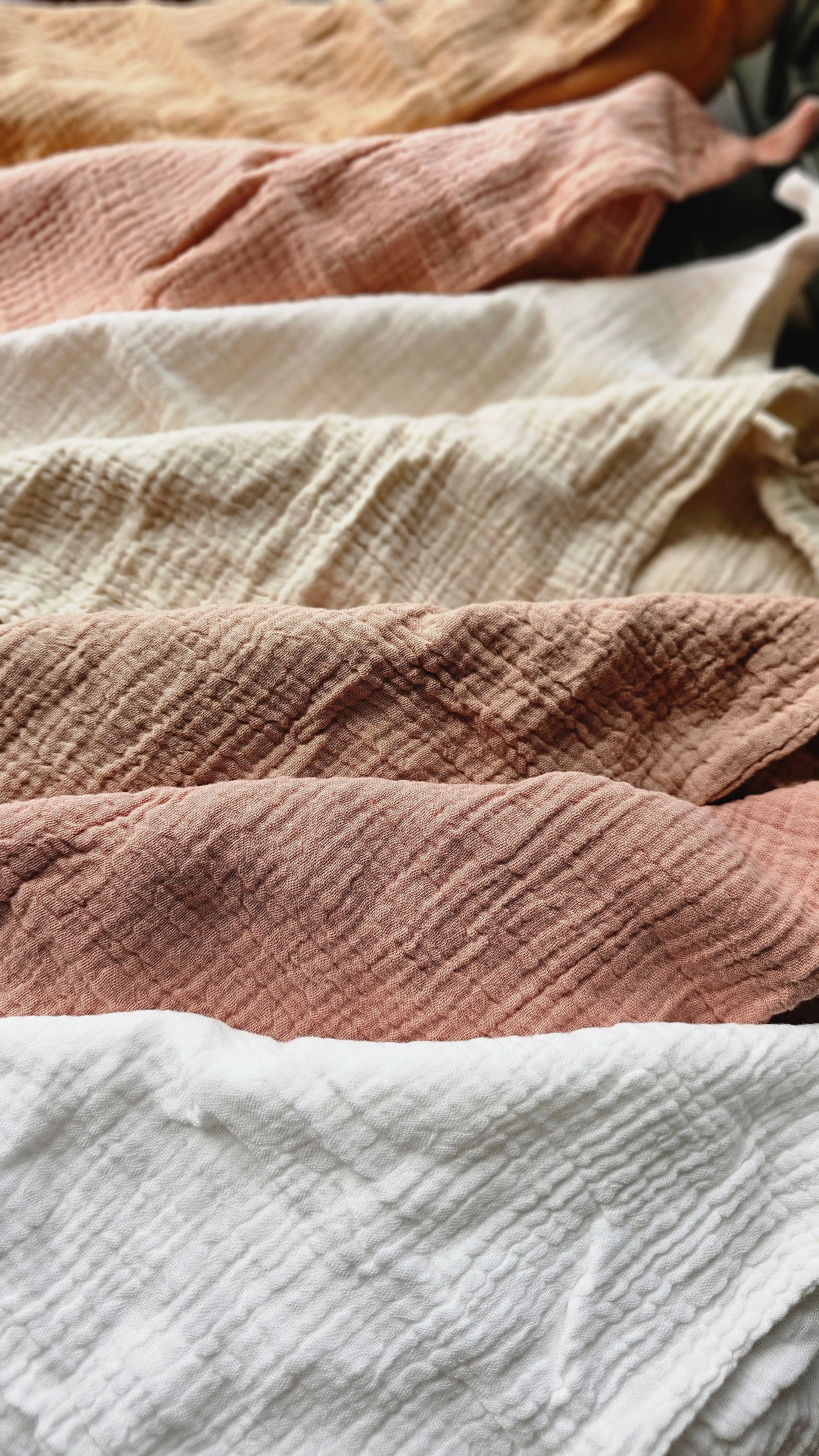 Natural Facial Soap Gift Set- Clean Start