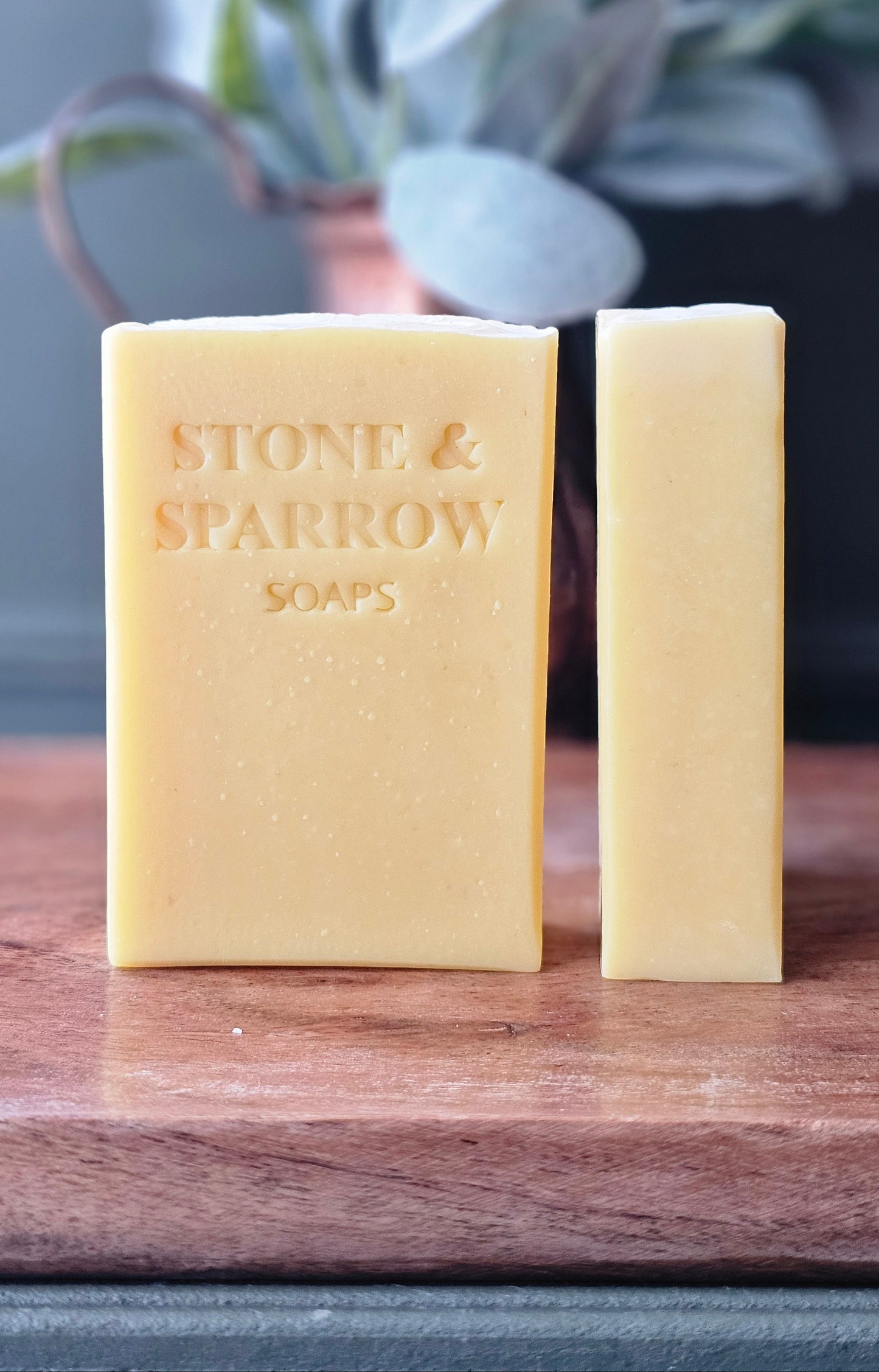 Spiced Cordial Soap